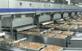 Ukrainian eggs back in trend - exports up twice to 20,000 tons in 2M