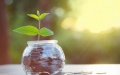 Dragon Capital Acts As Adviser To Miratech On Attracting Investments From Horizon Capital