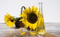 Sunflowerseed oil prices jump in Ukraine and Europe due to low sunflower harvest