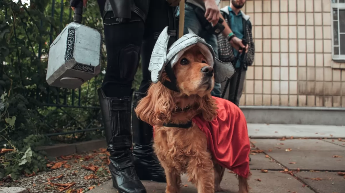 Фестиваль Comic Con Ukraine 2019. Фото: Информатор