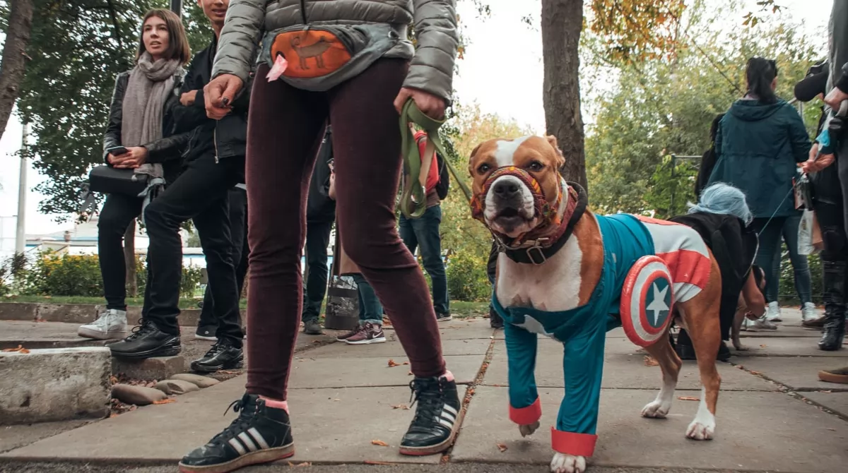 Фестиваль Comic Con Ukraine 2019. Фото: Информатор