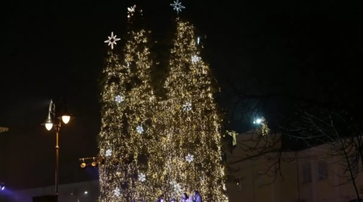 Луцк, елка
