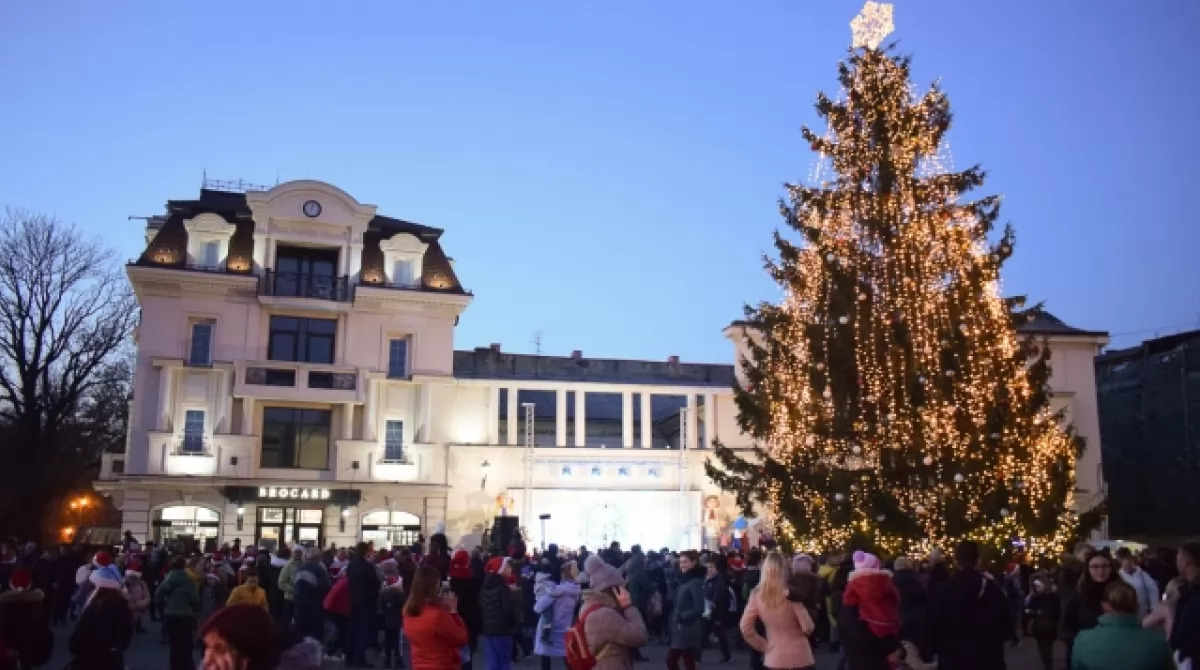 Елка Ужгорода. Фото: mukachevo.net