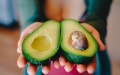 A batch of toxic avocados, which can cause death, was brought to Ukraine