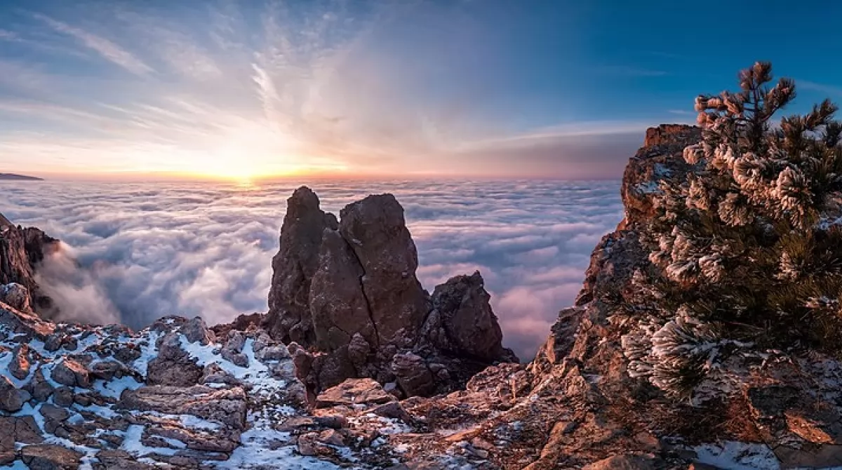 Победитель конкурса 