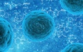 Davos to discuss Disease X, which is likely to exceed COVID death toll rate 20 times