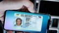 New categories of driver's licenses and age restrictions for obtaining them - Cabinet’s bill