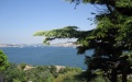 Ship going from Ukraine to Egypt runs aground in Bosphorus