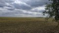 Farmers Sow 150,000 Hectares With Spring Crops - Agrarian Policy Ministry