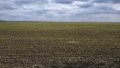 Lowest Starting Price Per Hectare Of Farmland In Ukraine Makes UAH 21,000 – Ukrainian Agribusiness Club