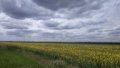 TOP agricultural companies that reduced land banks in 2024