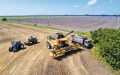 U.S. Department Of Agriculture Gives Forecast Of How Much Wheat It Will Be Possible To Grow In Ukraine This