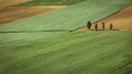 Law On Farmland Market Opening Takes Effect