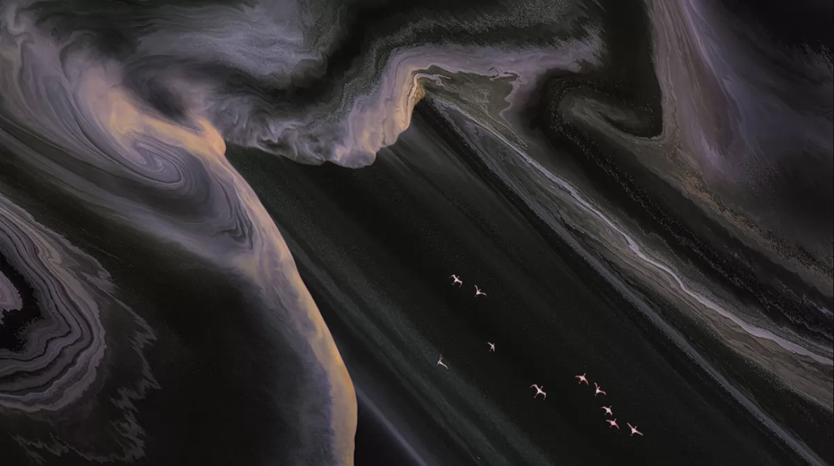 Летящие фламинго. Фото: Aerial Photography Awards 2020 / Hua Shang