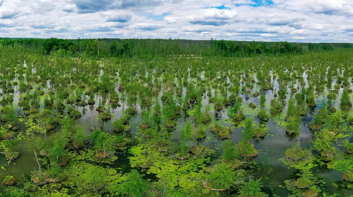 Вики любит Землю-2020. Фото: wikilovesearth.org.ua/ Вики любит Землю-2020. Фото: wikilovesearth.org.ua/