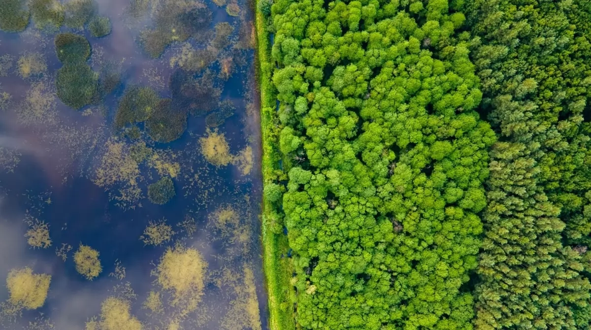 Вики любит Землю-2020. Фото: wikilovesearth.org.ua/ Вики любит Землю-2020. Фото: wikilovesearth.org.ua/