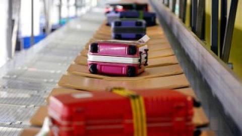 Две кошки потерялись в багажном отделении международного аэропорта Ванкувера.