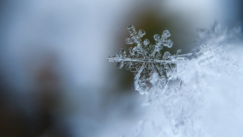Зима. Фото: pixabay