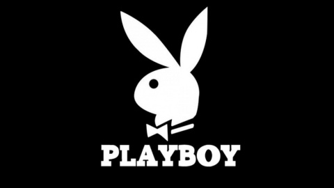 Компании Playboy, SpaceX и Tesla все еще активны на Instagram, который принадлежит Facebook. Фото: Playboy