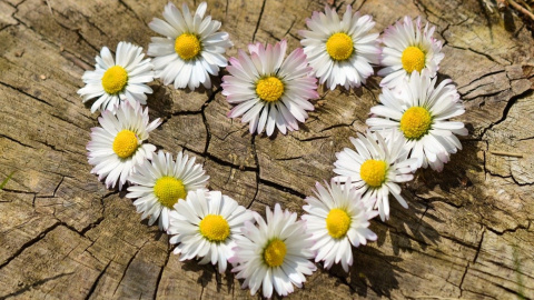 Прогноз погоды в Украине Фото: pixabay