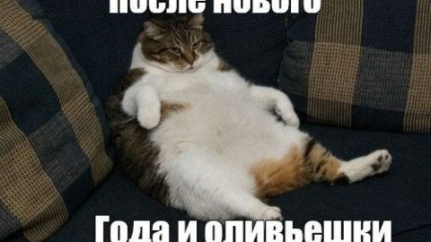 После новогодних праздников. Фото: meme-arsenal