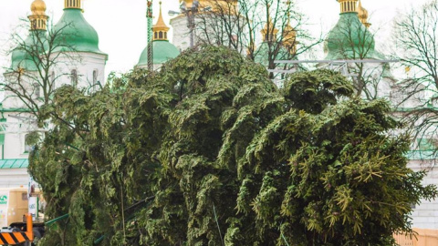 Крім ялинки на Софійській площі, кожен район столиці буде мати свою особисту. Фото: facebook.com/FolkUkraine