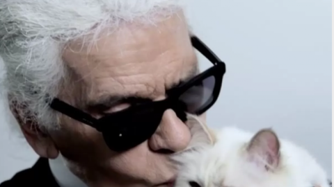 Лагерфельд просил перед смертью его кремировать и развеять прах. Фото: instagram.com/choupettesdiary