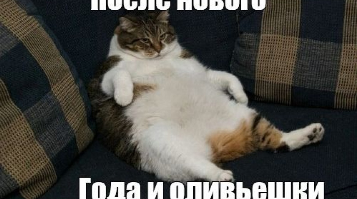 Как Похудеть После Новогодних Праздников