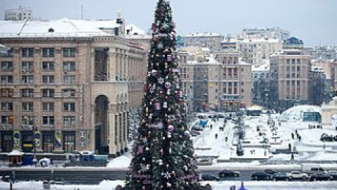 Торішня ялинка в Києві.