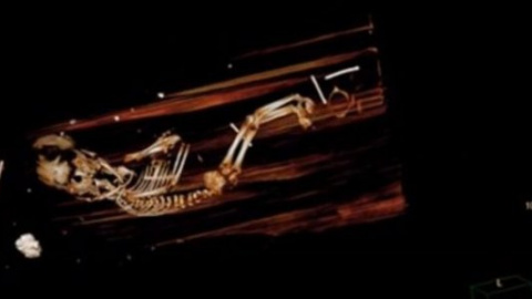 ​В гробу шведского епископа нашли пятимесячный эмбрион