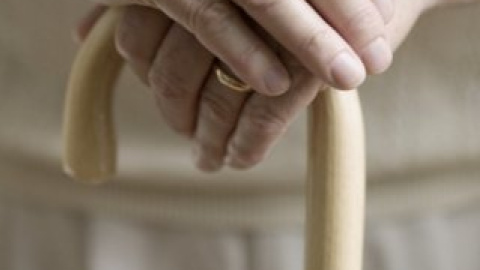 Літня жінка допомогла співробітникам охорони затримати грабіжника.
