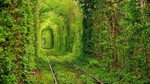 Велосипедный и пешеходный проезд/проход останется бесплатным. Фото: IGotoWorld