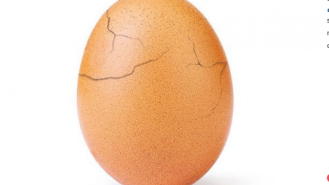 За 15 годин яйце набрало 4 млн вподобань. Фото: world_record_egg/Instagram