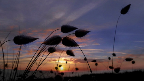 Прогноз погоды в Украине Фото: pixabay