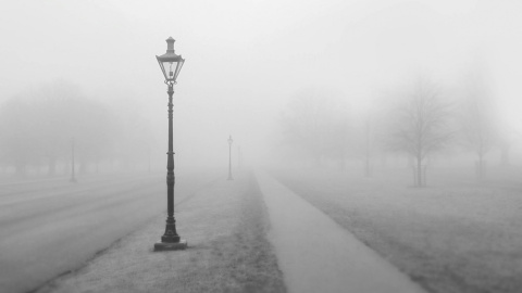 Туман. Фото: pixabay