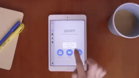 Zoom. Скриншот видео