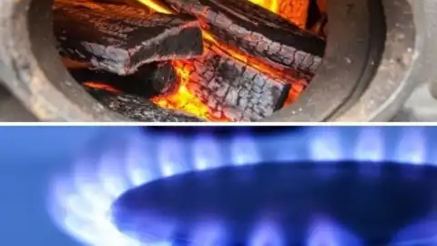 Газ или дрова? Что более экономно использовать для отопления дома?