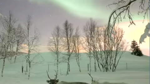 Северное сияние. Скриншот видео