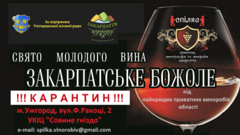 Закарпатское Божоле. Фото: facebook.com/NewVineTranscarpatia