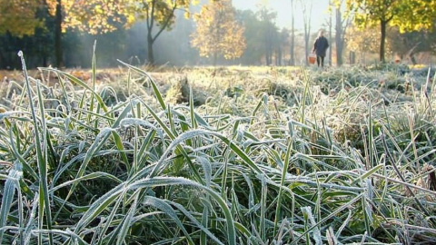 В Украину идут заморозки. Фото: tengrinews.kz