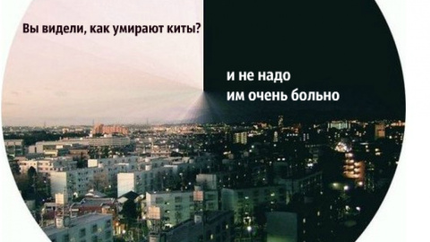 Выжившие жертвы "групп смерти" рассказывают, что "кураторы" приходят за ними сами – когда они наиболее уязвимы