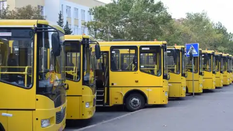 Фото: пресс-служба НикОГА