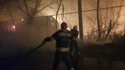 Пожежі в Луганській області. Фото: ДСНС