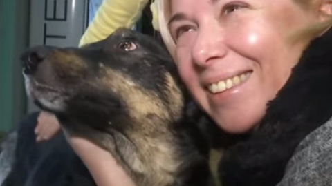 У лікарні пес проведе ще кілька тижнів, після чого хазяйка забере його додому. Скріншот відео ТСН