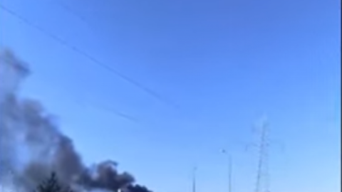 Пожежа під Києвом. Скріншот видео
