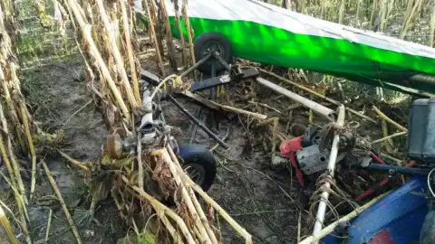 Падіння дельтаплану в Житомирській області Фото: ДСНС