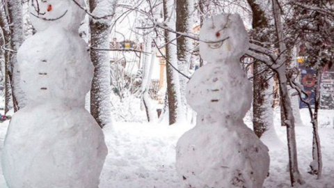 Одессу засыпало снегом. Фото: dumskaya.net
