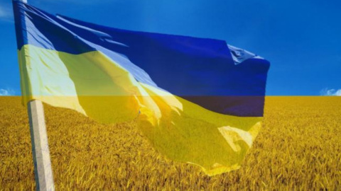 Сегодня в Украине отмечают день Флага. Фото: pixabay