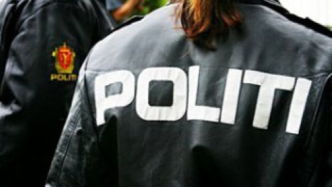 Однако полиция устроила погоню и смогла арестовать пару.