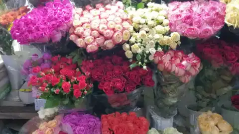 Квіти